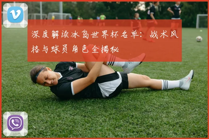 深度解读冰岛世界杯名单：战术风格与球员角色全揭秘