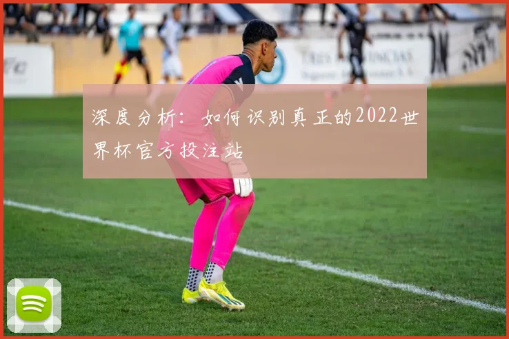 深度分析：如何识别真正的2022世界杯官方投注站