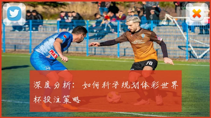 深度分析:如何科学规划体彩世界杯投注策略
