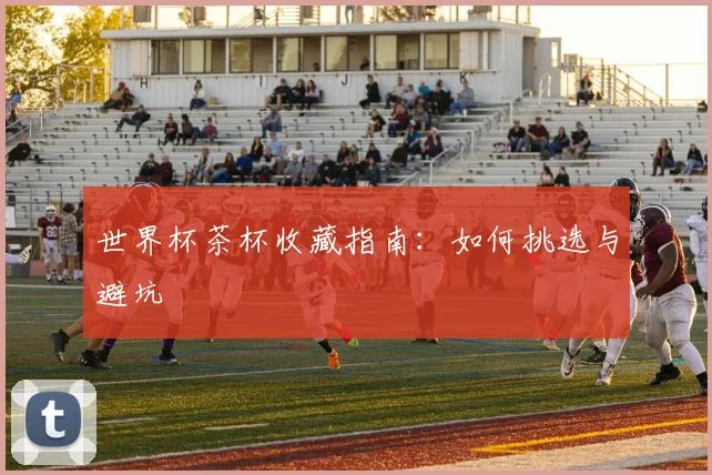 世界杯茶杯收藏指南：如何挑选与避坑